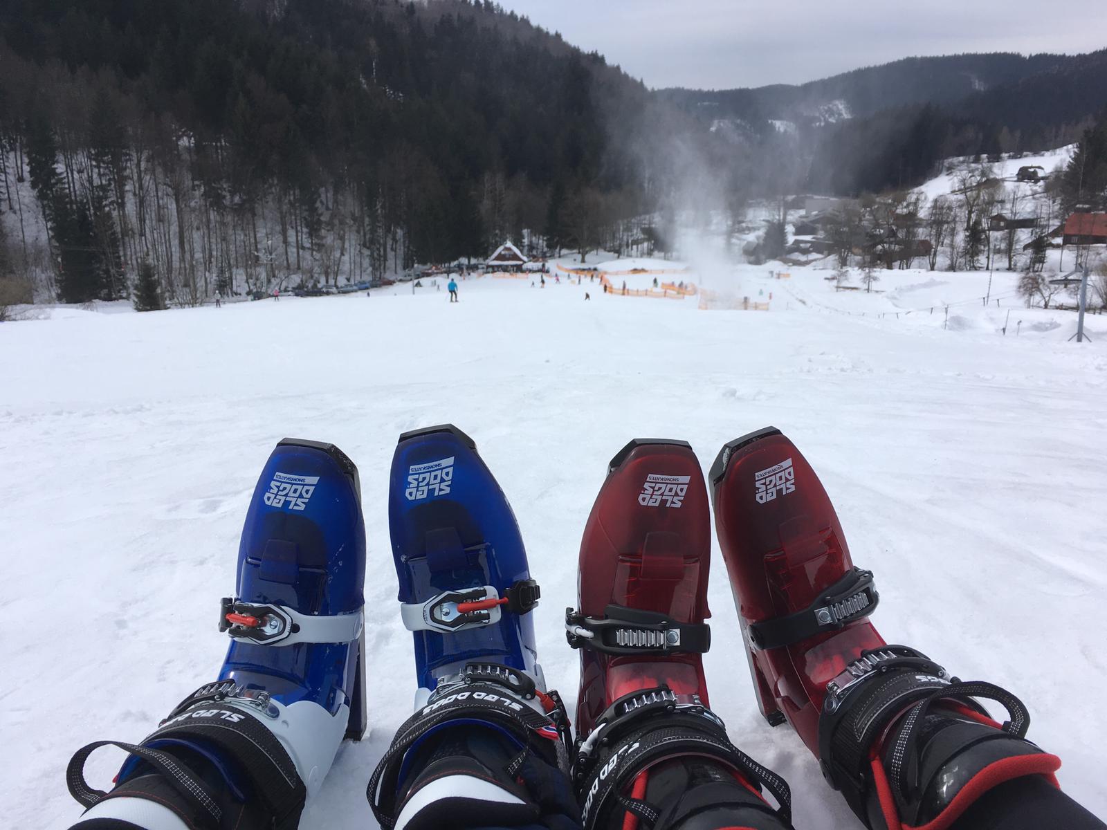 Sněžné brusle Sled dogs. Komu to moc nejde na lyžích, zamiluje si je.
